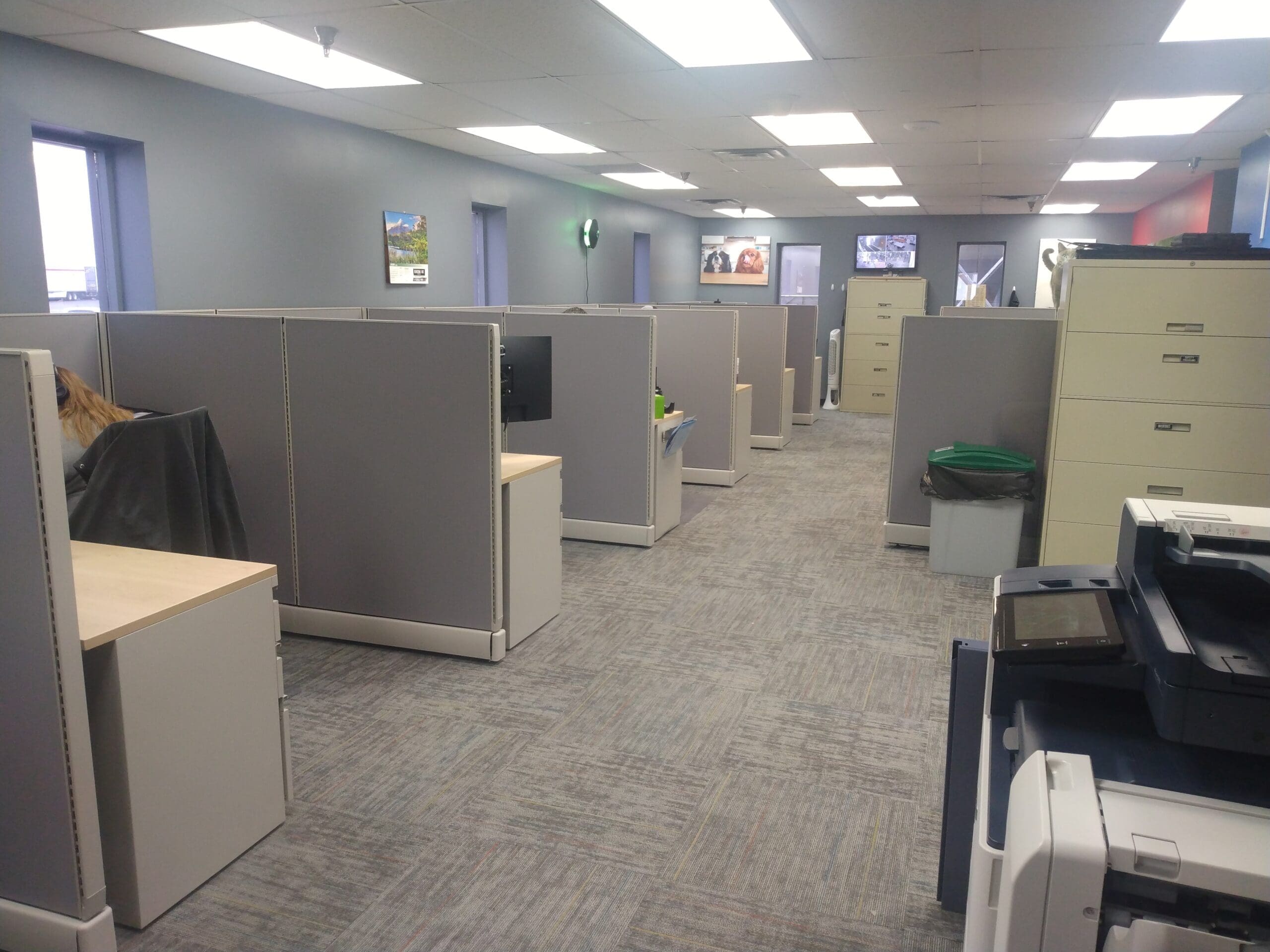 Row of grey cubicles in an office